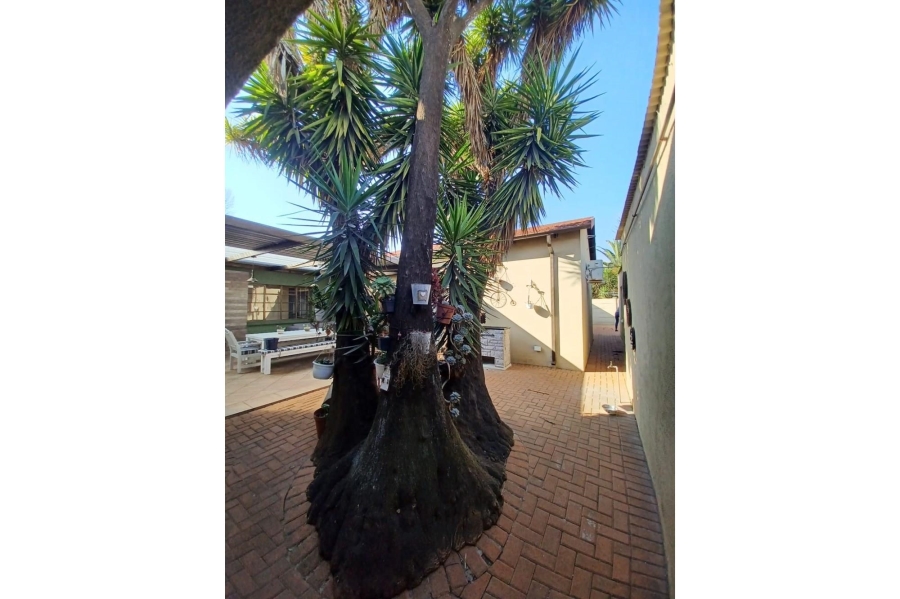 4 Bedroom Property for Sale in Dalview Gauteng