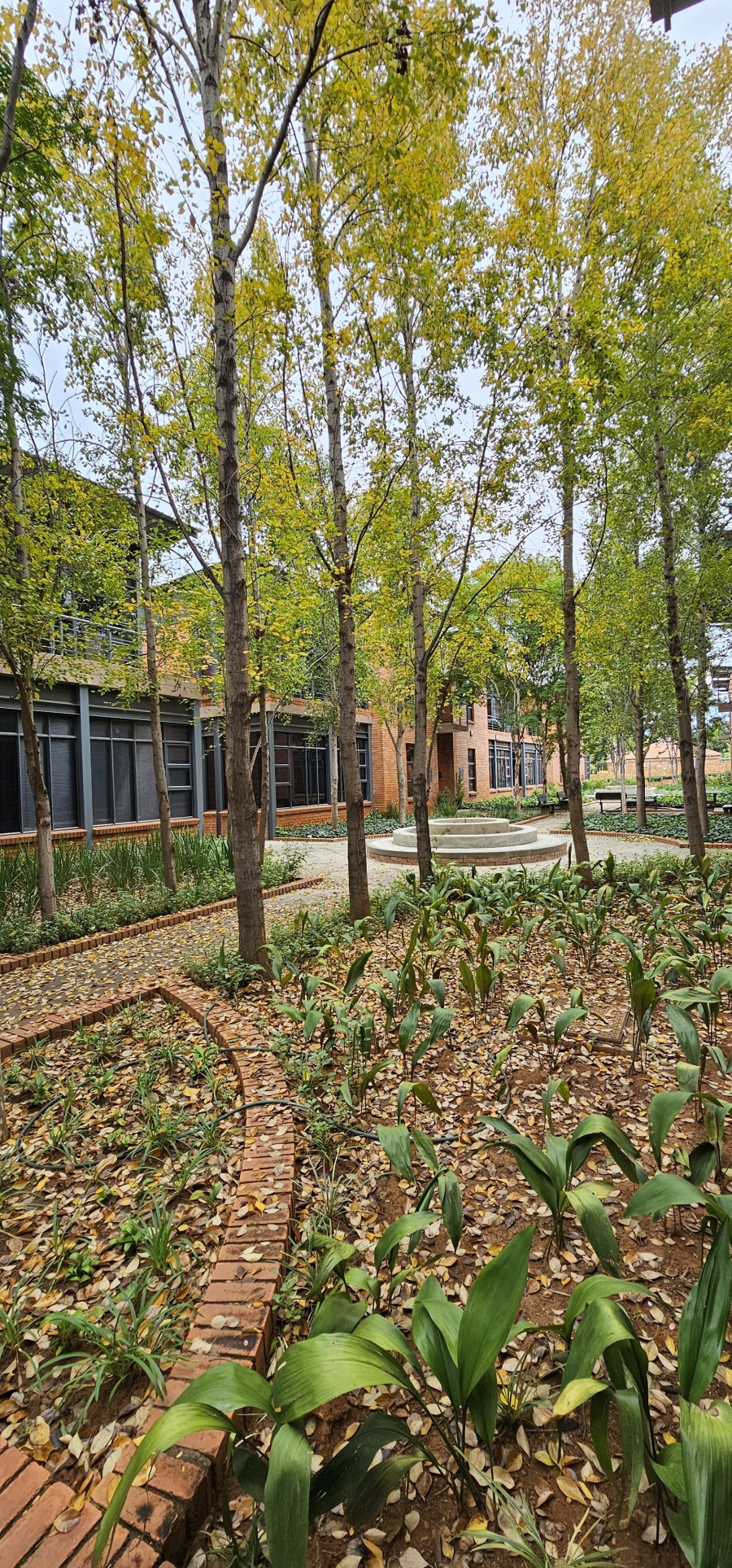To Let commercial Property for Rent in Die Hoewes Gauteng