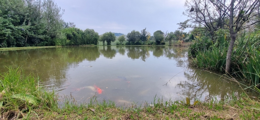 6 Bedroom Property for Sale in Hartzenbergfontein Gauteng