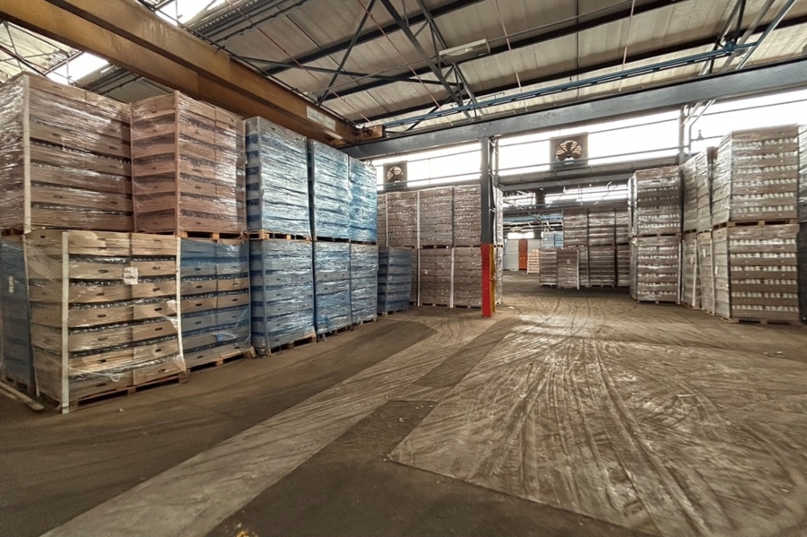 To Let commercial Property for Rent in Anderbolt Gauteng