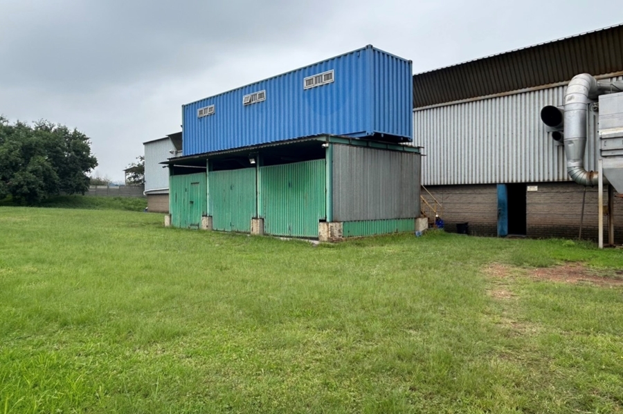 To Let commercial Property for Rent in Anderbolt Gauteng
