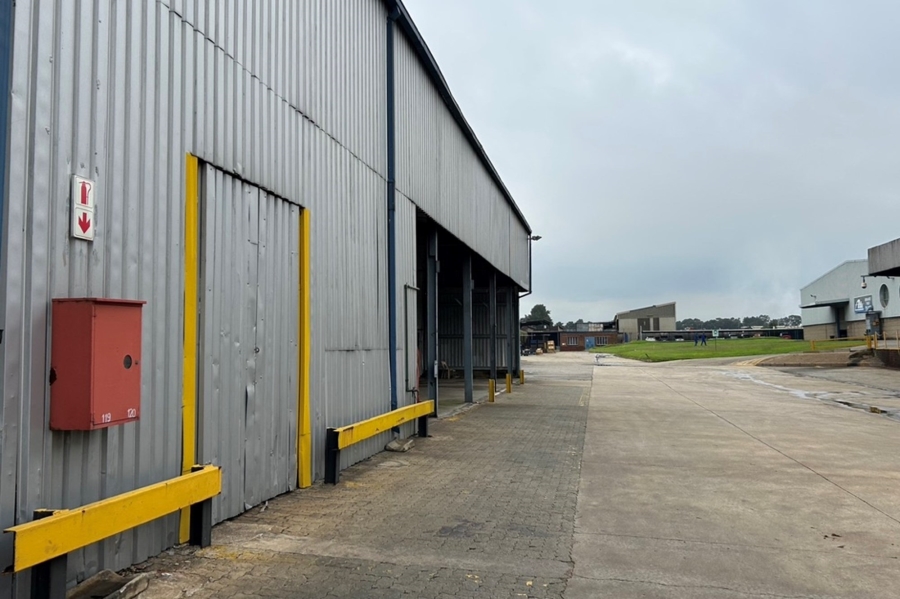 To Let commercial Property for Rent in Anderbolt Gauteng