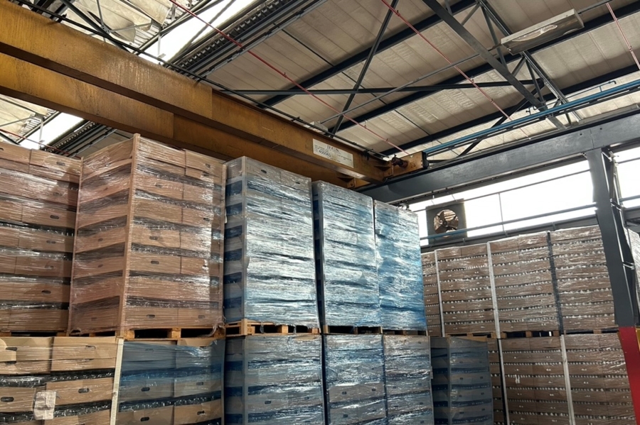 To Let commercial Property for Rent in Anderbolt Gauteng