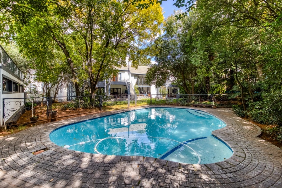 To Let 5 Bedroom Property for Rent in Illovo Gauteng