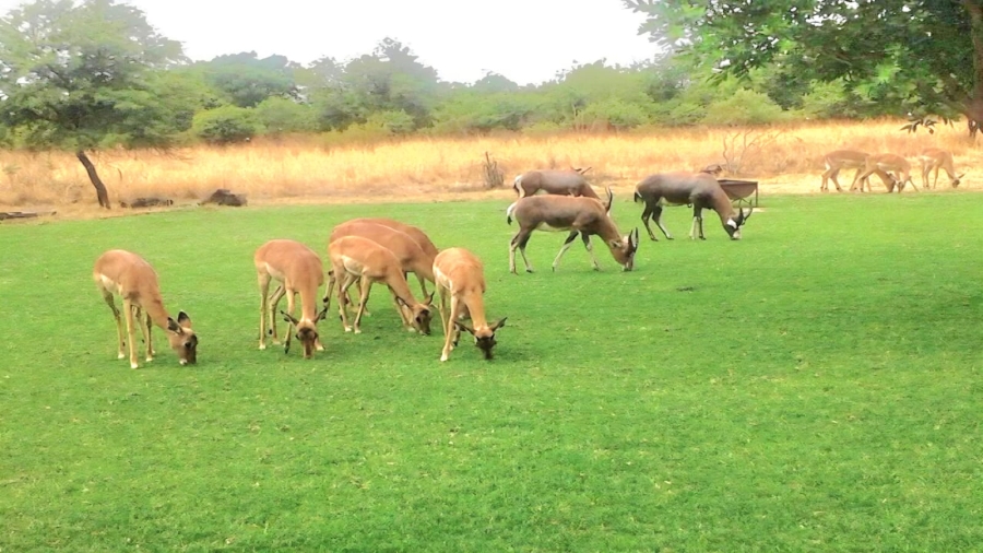 4 Bedroom Property for Sale in Strydfontein A H Gauteng