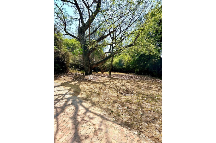 0 Bedroom Property for Sale in Inanda Gauteng