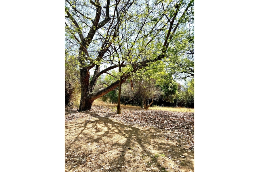 0 Bedroom Property for Sale in Inanda Gauteng