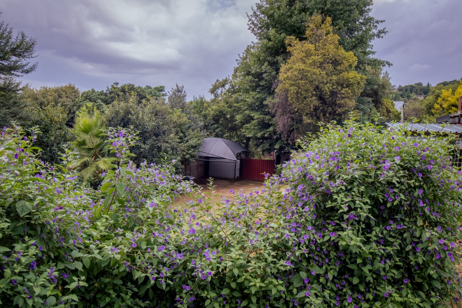 To Let 5 Bedroom Property for Rent in Constantia Kloof Gauteng