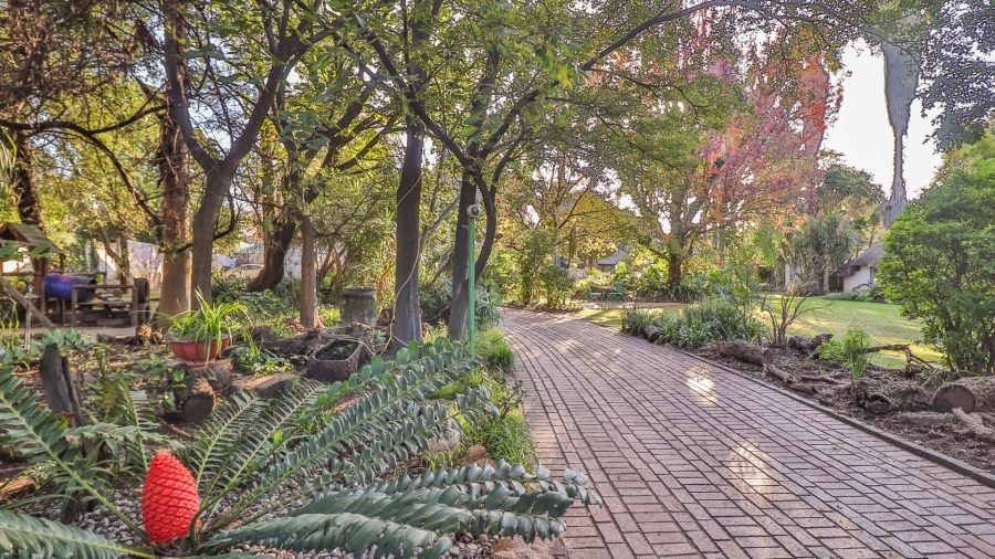 6 Bedroom Property for Sale in Lambton Gauteng