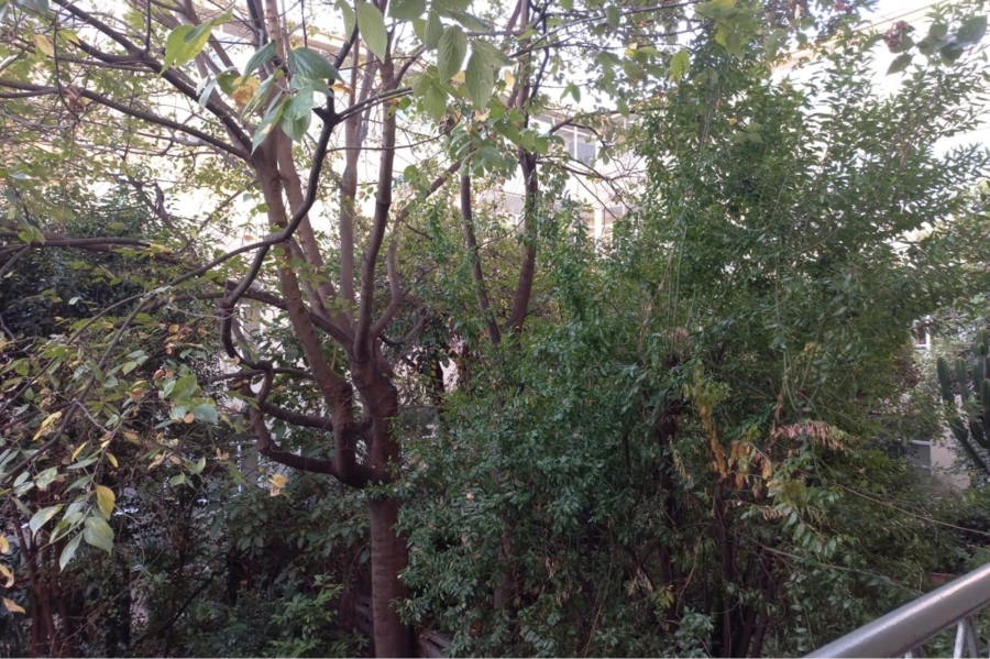 To Let 2 Bedroom Property for Rent in Craighall Park Gauteng