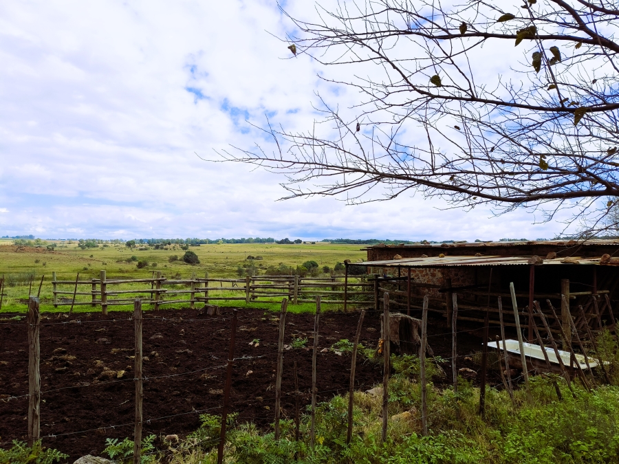 6 Bedroom Property for Sale in Rayton Gauteng