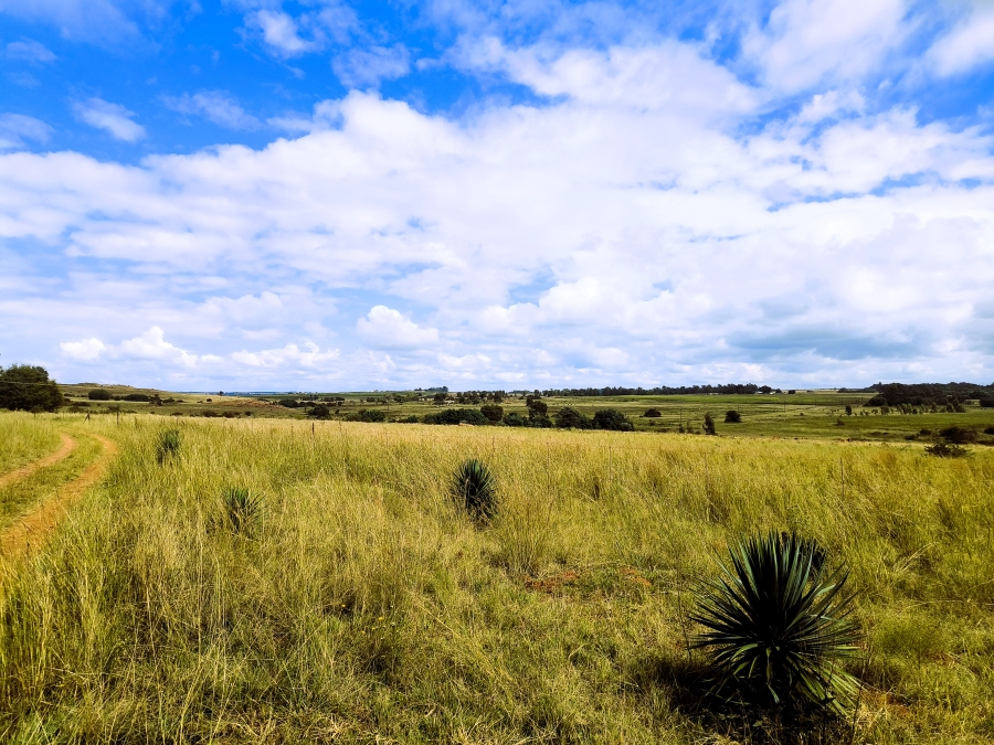 6 Bedroom Property for Sale in Rayton Gauteng