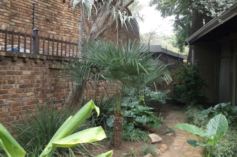 To Let 3 Bedroom Property for Rent in Lakefield Gauteng