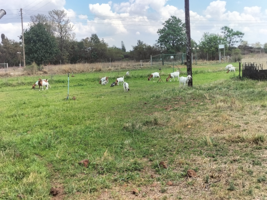 9 Bedroom Property for Sale in Haakdoornboom Gauteng