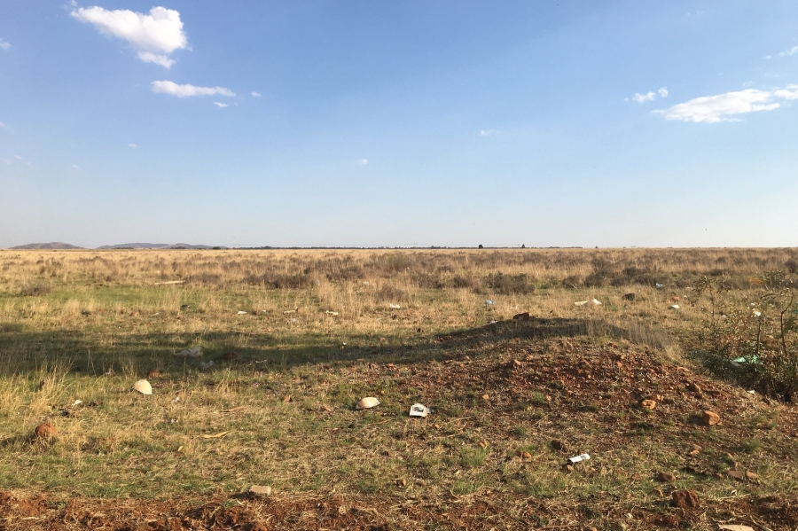 0 Bedroom Property for Sale in Henley on Klip Gauteng