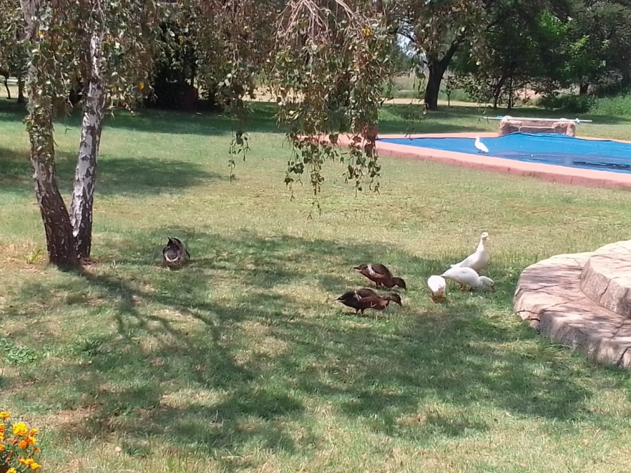17 Bedroom Property for Sale in Witfontein Gauteng