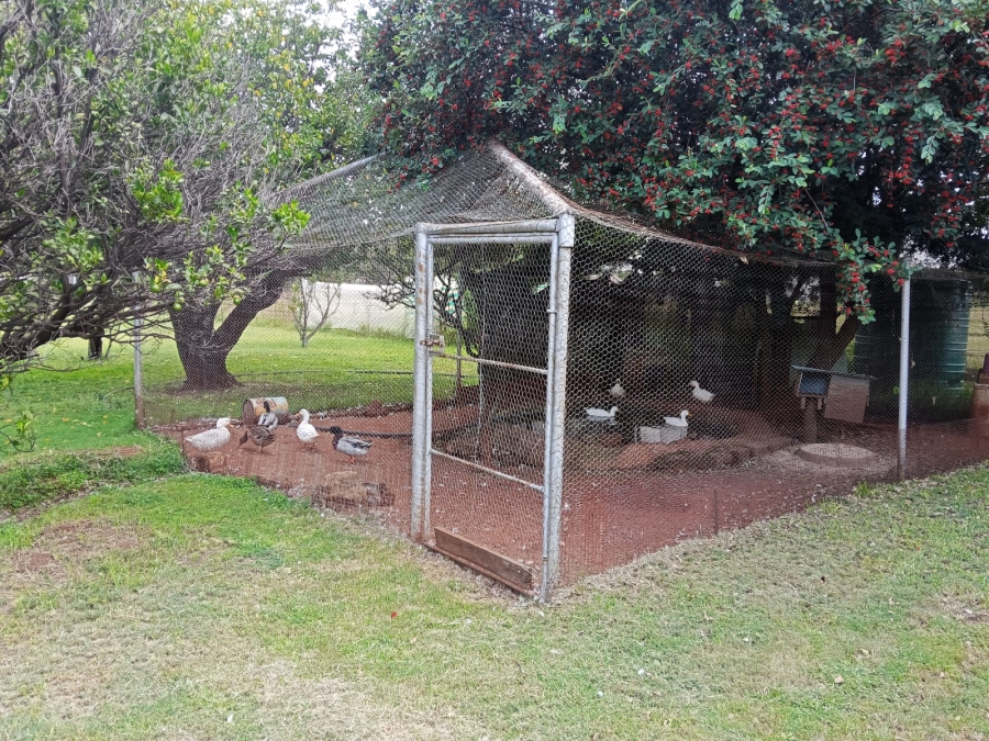 17 Bedroom Property for Sale in Witfontein Gauteng