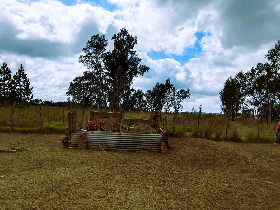 4 Bedroom Property for Sale in Firolaz AH Gauteng