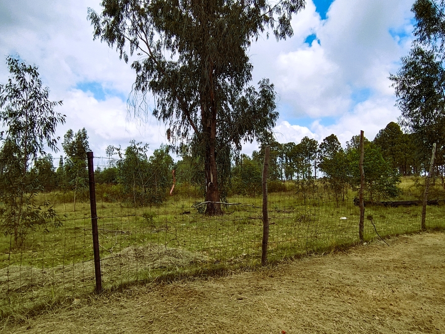 4 Bedroom Property for Sale in Firolaz AH Gauteng
