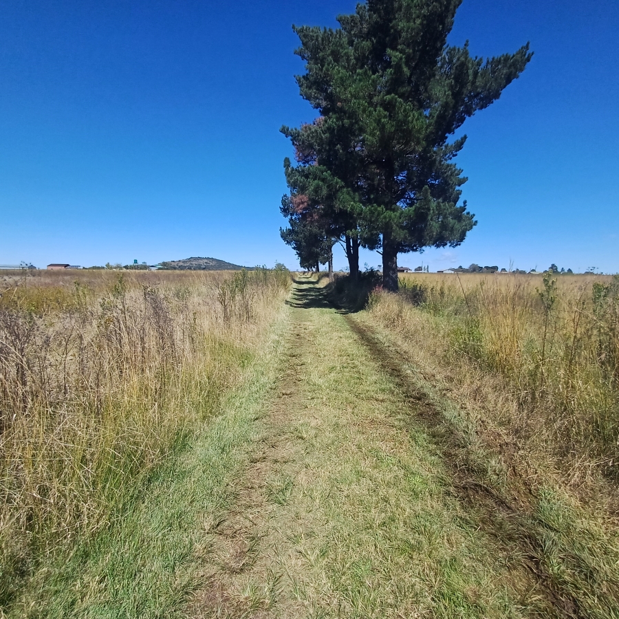 3 Bedroom Property for Sale in Meyerton Rural Gauteng