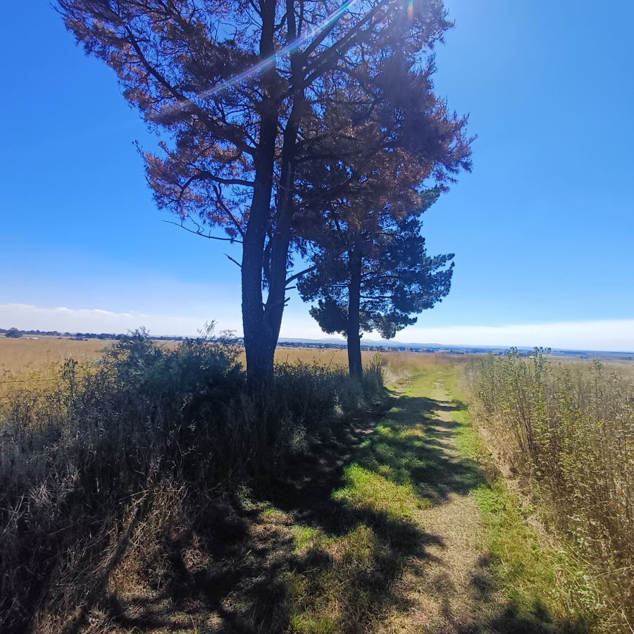 3 Bedroom Property for Sale in Meyerton Rural Gauteng