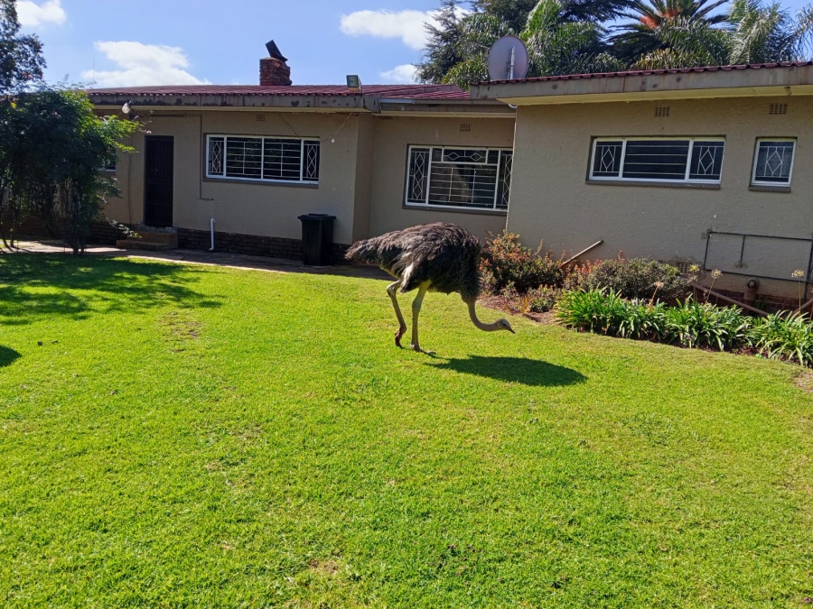 To Let 2 Bedroom Property for Rent in Beckedan Gauteng