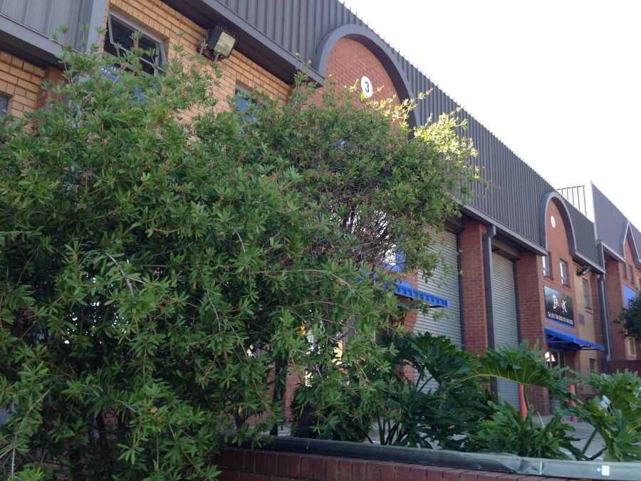 To Let commercial Property for Rent in Strijdom Park Gauteng