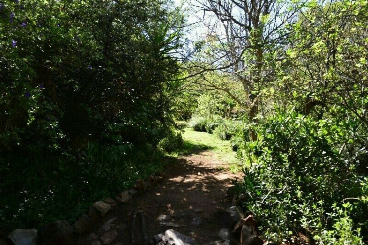 To Let 1 Bedroom Property for Rent in Northcliff Gauteng
