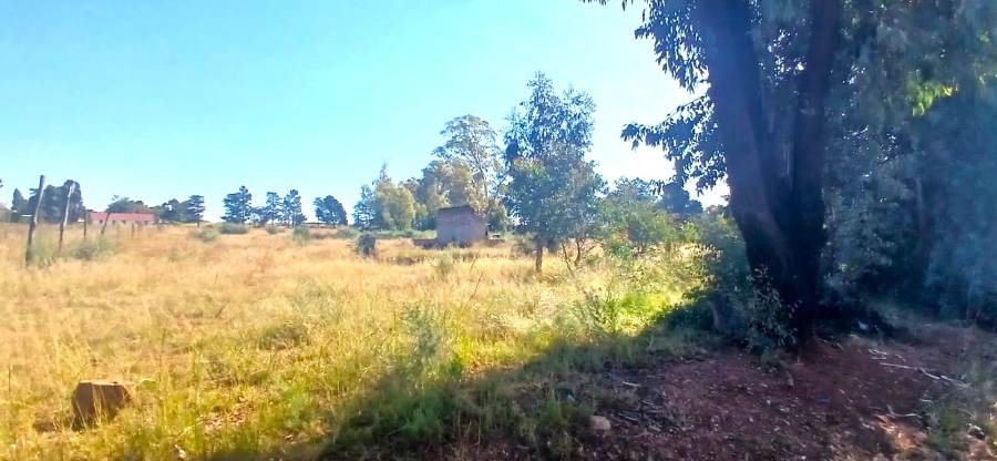 0 Bedroom Property for Sale in Riversdale Gauteng