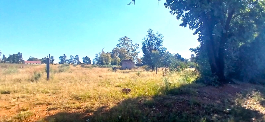 0 Bedroom Property for Sale in Riversdale Gauteng