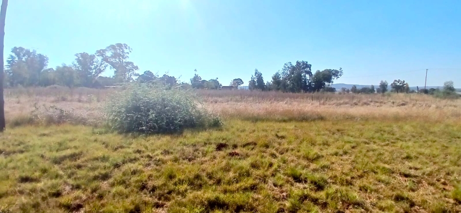 0 Bedroom Property for Sale in Ophir A H Gauteng