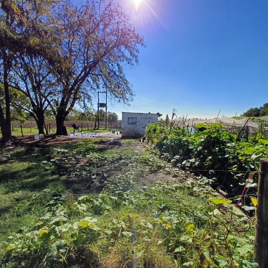 4 Bedroom Property for Sale in New Kentucky Gauteng