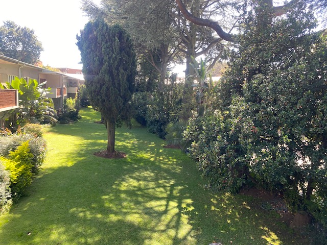 To Let 2 Bedroom Property for Rent in Illovo Gauteng