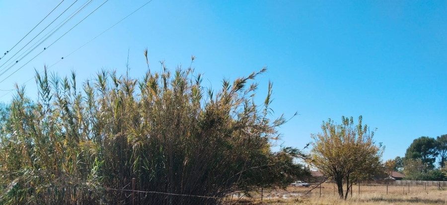 0 Bedroom Property for Sale in Riversdale Gauteng