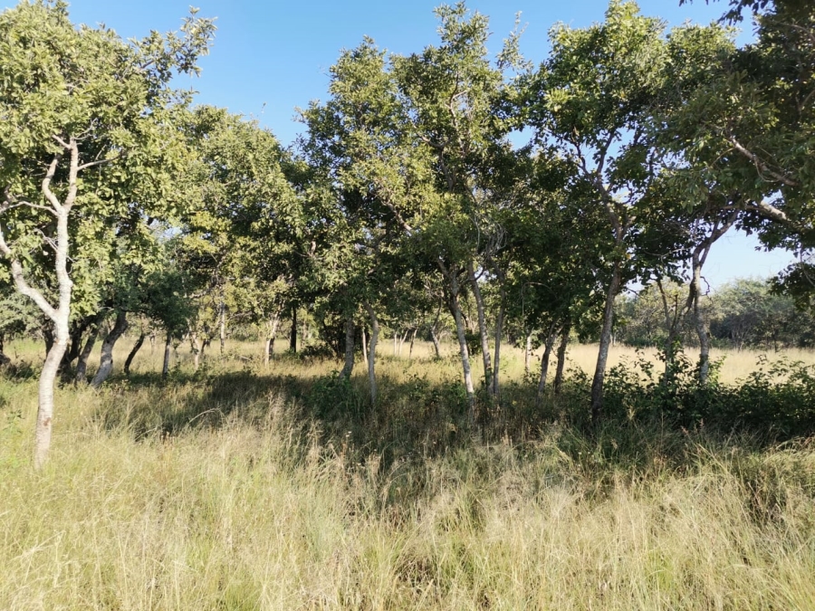 6 Bedroom Property for Sale in Lusthof Gauteng