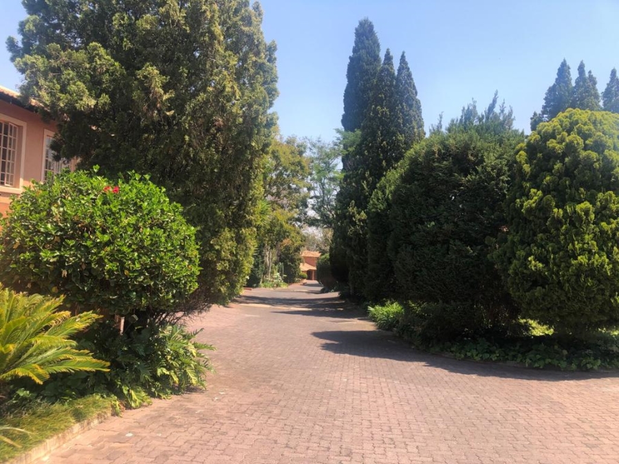 To Let 3 Bedroom Property for Rent in Sterrewag Gauteng