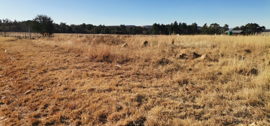 0 Bedroom Property for Sale in Ophir A H Gauteng