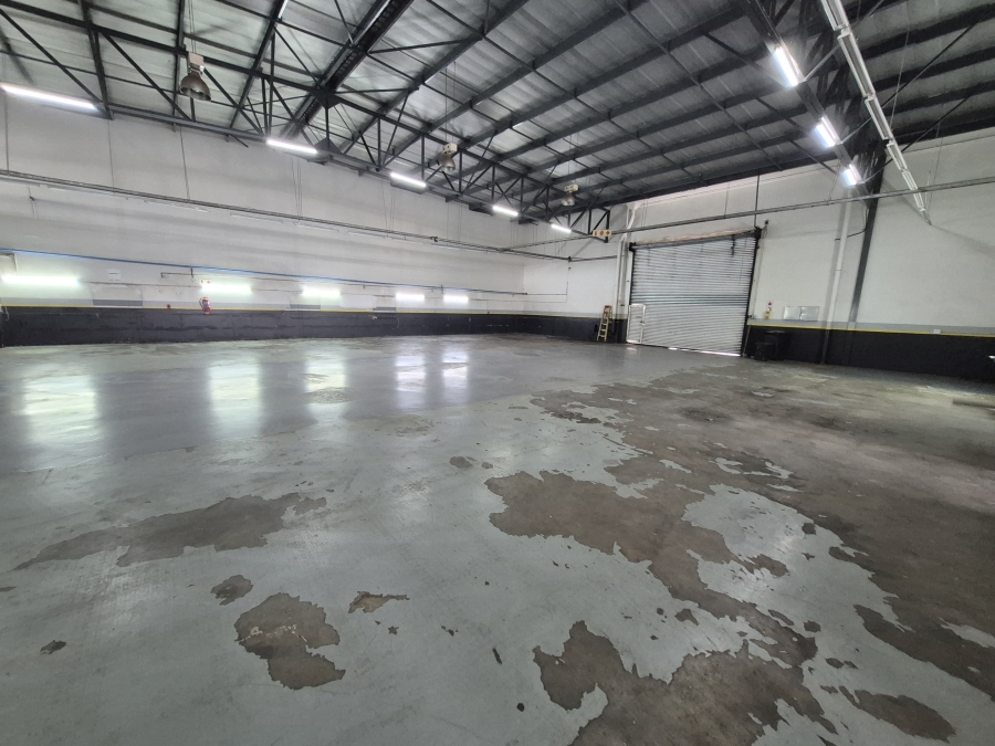 To Let commercial Property for Rent in Meadowdale Gauteng