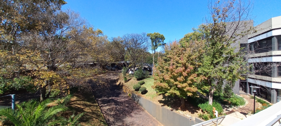 To Let commercial Property for Rent in Bedfordview Gauteng