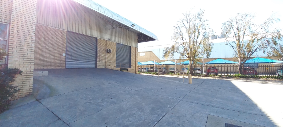 To Let commercial Property for Rent in Spartan Gauteng