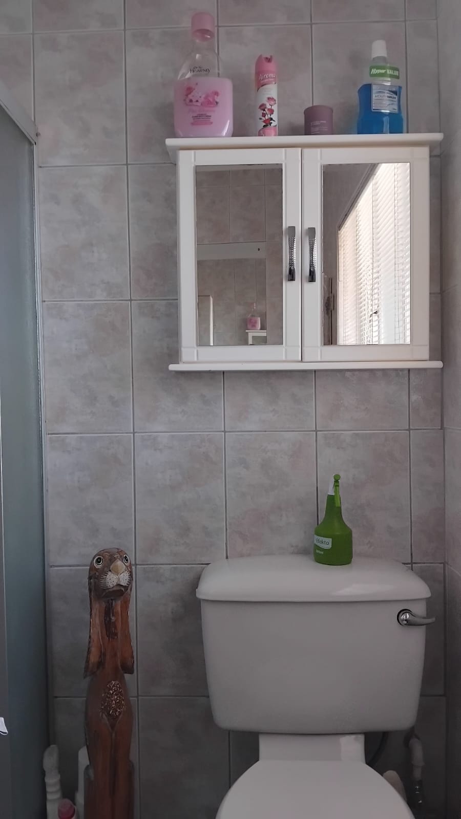 3 Bedroom Property for Sale in Vanderbijlpark SE 2 Gauteng