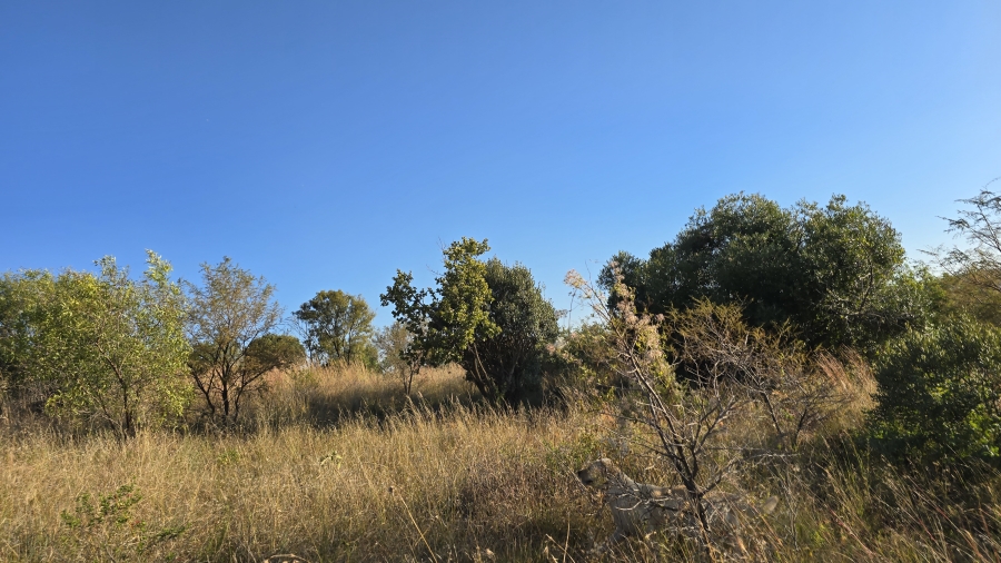 4 Bedroom Property for Sale in Hekpoort Gauteng