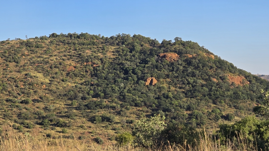 4 Bedroom Property for Sale in Hekpoort Gauteng
