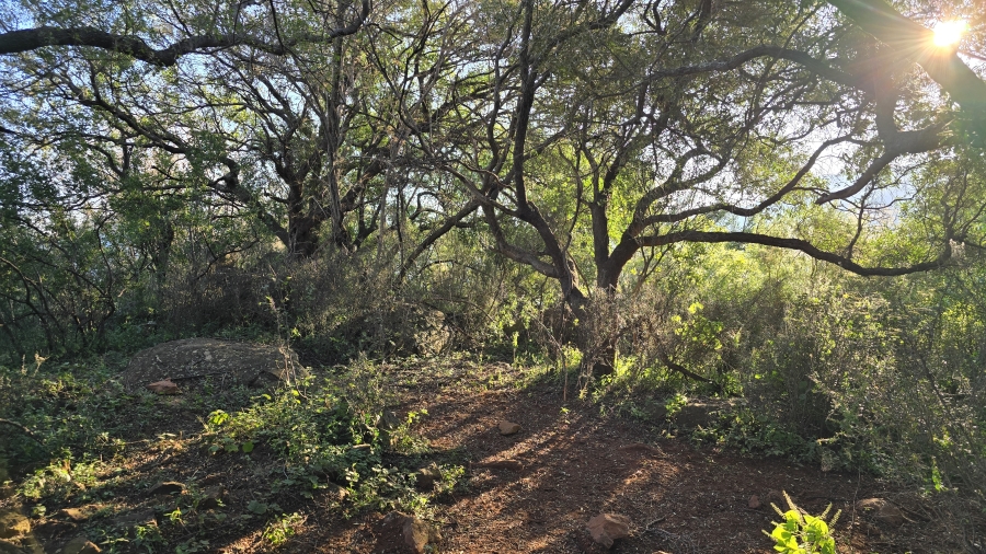 4 Bedroom Property for Sale in Hekpoort Gauteng