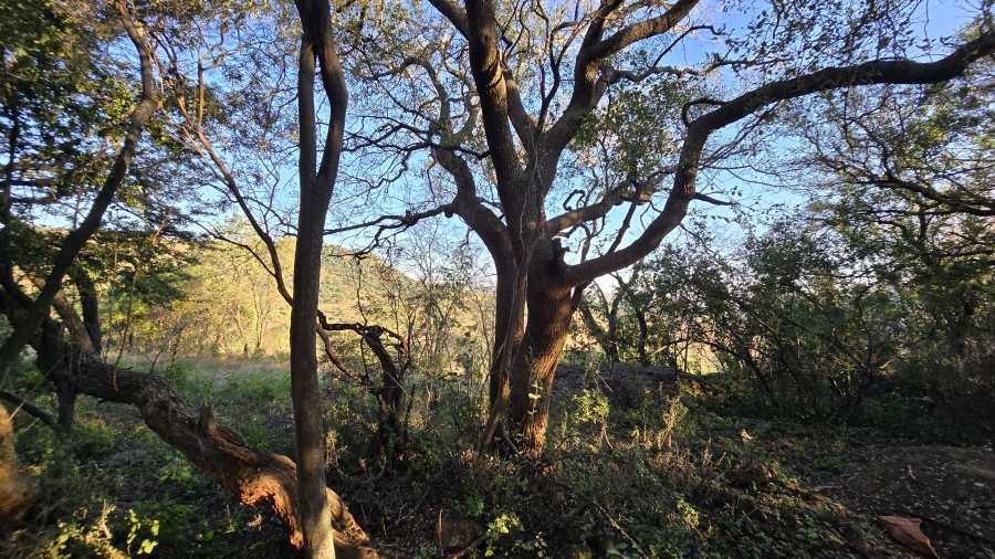 4 Bedroom Property for Sale in Hekpoort Gauteng