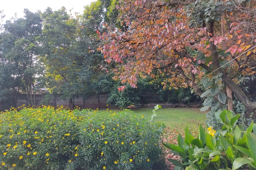 To Let 3 Bedroom Property for Rent in Rouxville Gauteng