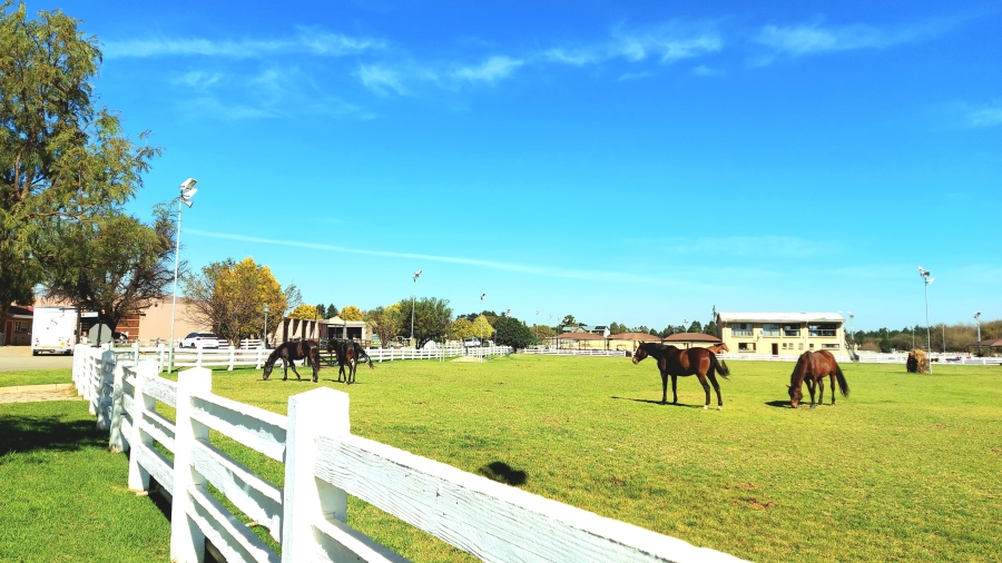 6 Bedroom Property for Sale in Dunblane Lifestyle and Equestrian Estate Gauteng