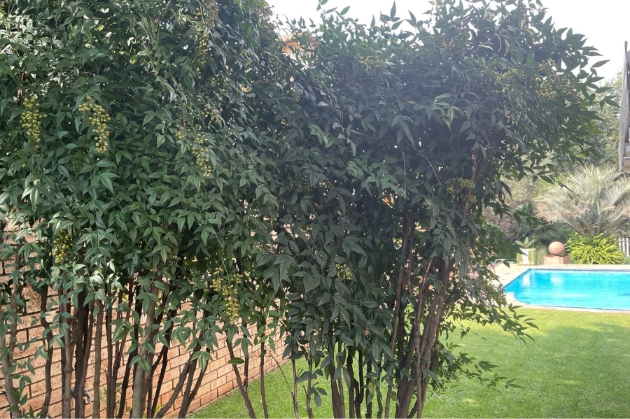 4 Bedroom Property for Sale in Ruimsig Gauteng