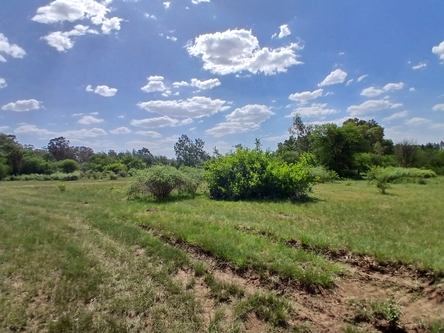 0 Bedroom Property for Sale in Riversdale Gauteng