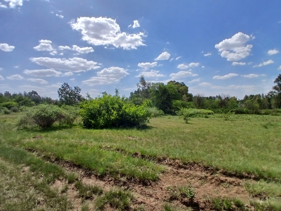 0 Bedroom Property for Sale in Riversdale Gauteng